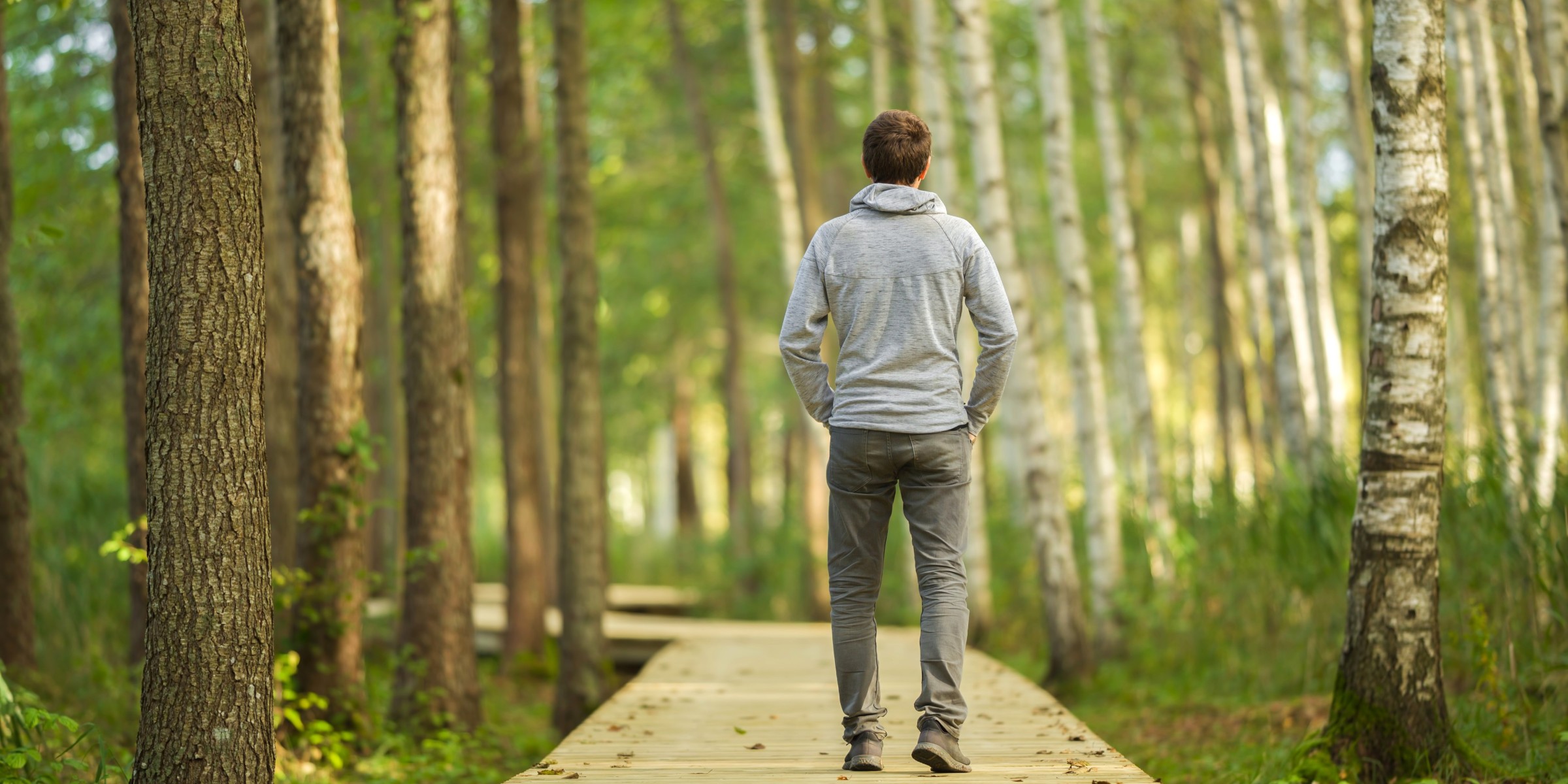 Person geht auf einem klaren Waldweg nach vorne und steht für Orientierung, Klarheit und persönliche Entwicklung