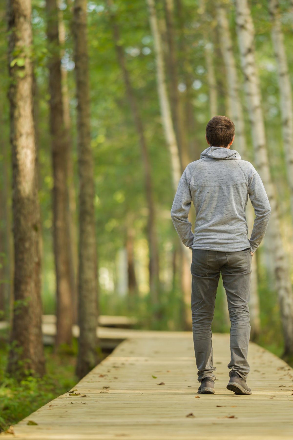 Person geht auf einem klaren Waldweg nach vorne und steht für Orientierung, Klarheit und persönliche Entwicklung