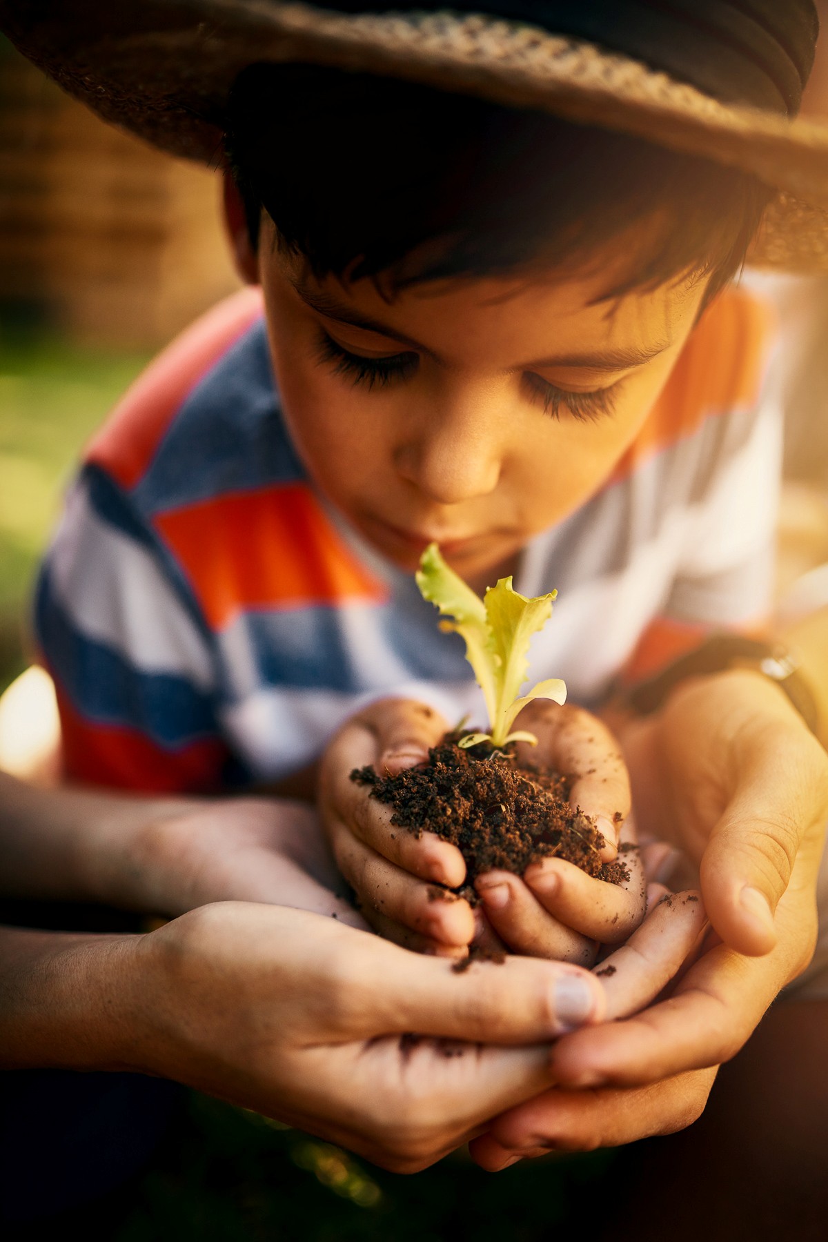 Kind hält eine kleine Pflanze in den Händen seiner Eltern – Symbol für gemeinsames Wachstum Eltern bleiben nach der Trennung